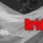 Bridal and Wedding Dresses